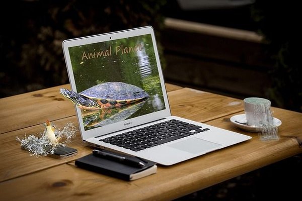 Pourquoi les infidélités naissent souvent au bureau ?